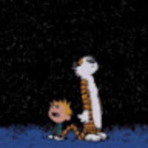 Meet your Posher, Joe